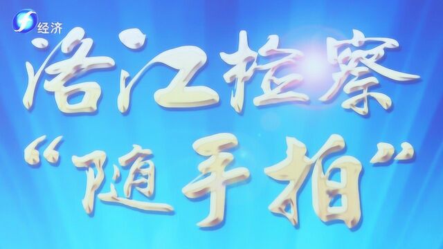 泉州市洛江区检察院打造“随手拍”平台 让举报随时随地