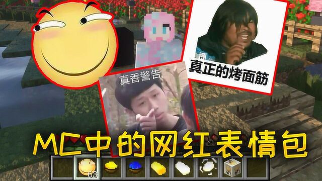 小橙子姐姐我的世界:MC中的表情包,滑稽表情,网红神曲全都有