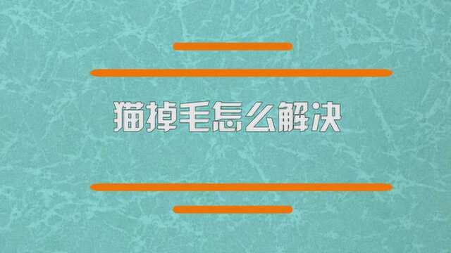 猫掉毛有什么方法可以解决?