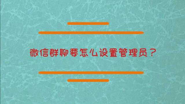 微信群聊怎么设置管理员?