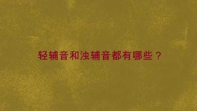 清辅音和浊辅音都有哪些?