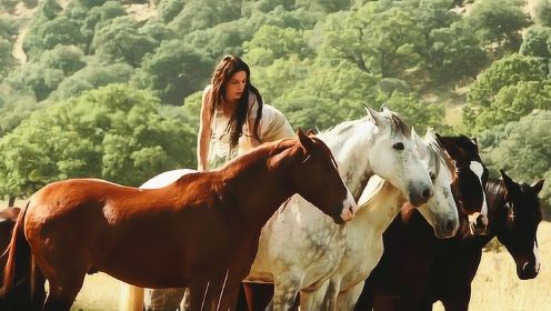 几分钟看完治愈系电影《骏马奥斯温3》米卡带着奥斯温回归野马群