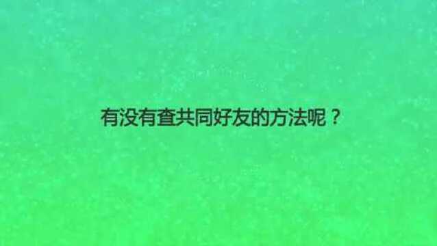 有没有查共同好友的方法呢?