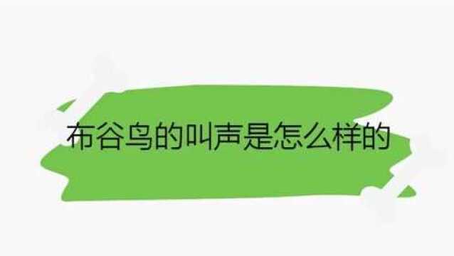 布谷鸟的叫声是怎么样的