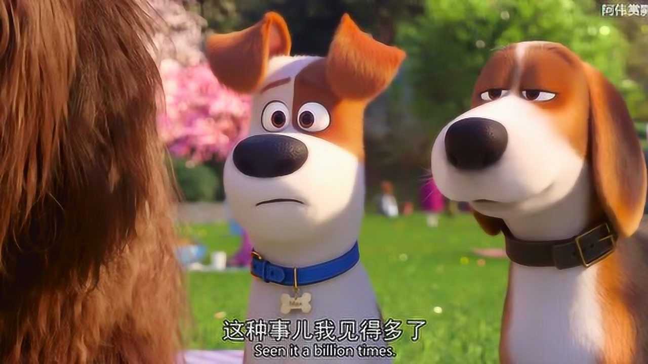 爱宠大机密2:麦克自我介绍说不喜欢小孩,当自己的女主人有小孩了,蒙了