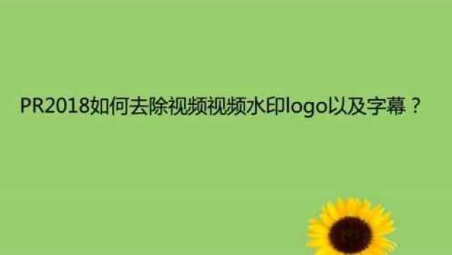 PR2018如何去除视频视频水印logo以及字幕?