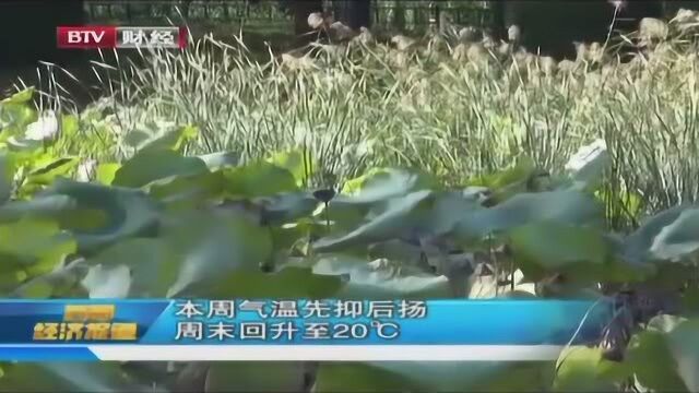 北京气温极速下降 温度下至零摄氏度