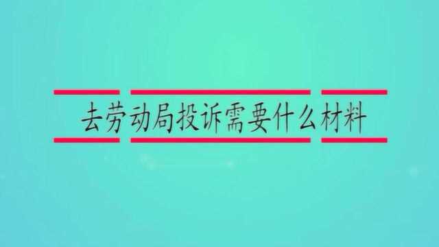 去劳动局投诉需要什么材料