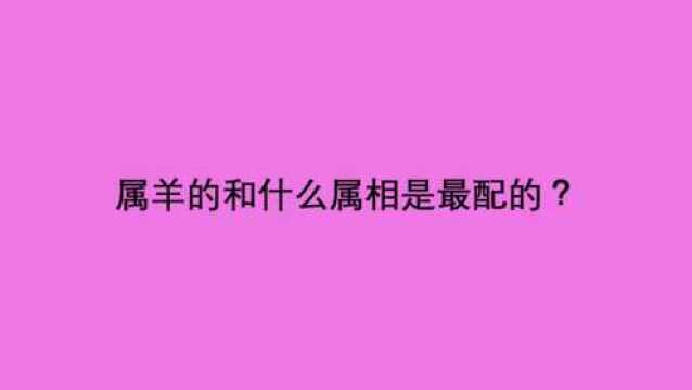 属羊的和什么属相是最配的?