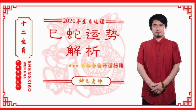 2020年生肖运程,蛇生肖在2020年的运势如何?