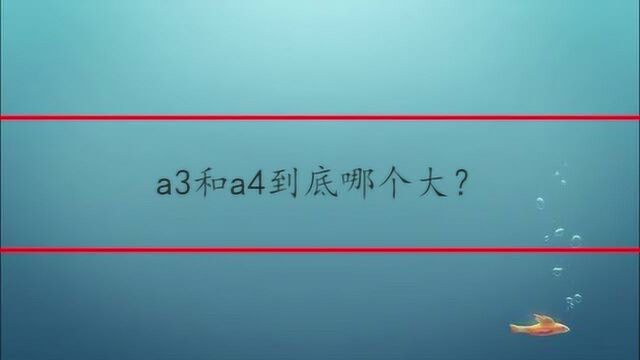 a3和a4到底哪个大?