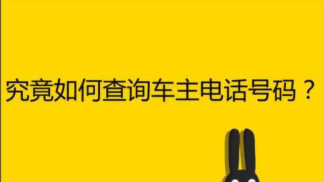 究竟如何查询车主电话号码?