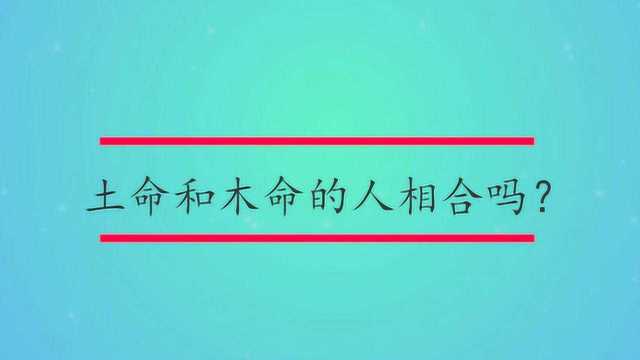 土命和木命的人相合吗?