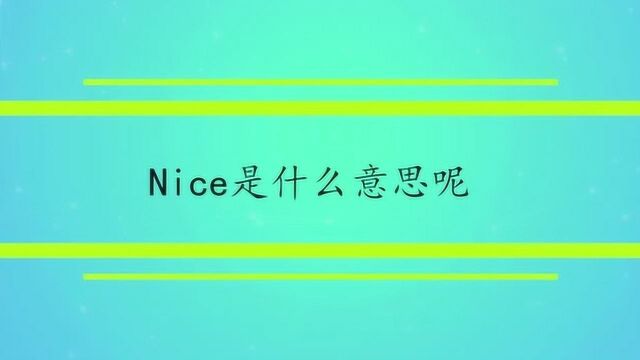 Nice是什么意思呢