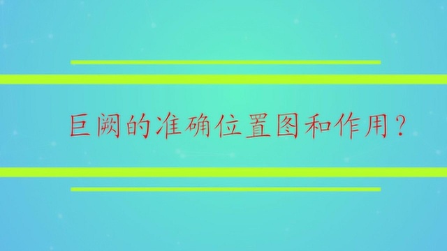 巨阙的准确位置图和作用?