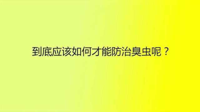 到底应该如何才能防治臭虫呢?