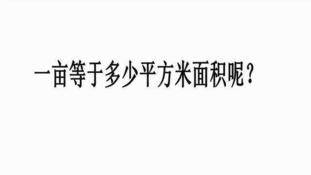 一亩等于多少平方米面积呢?