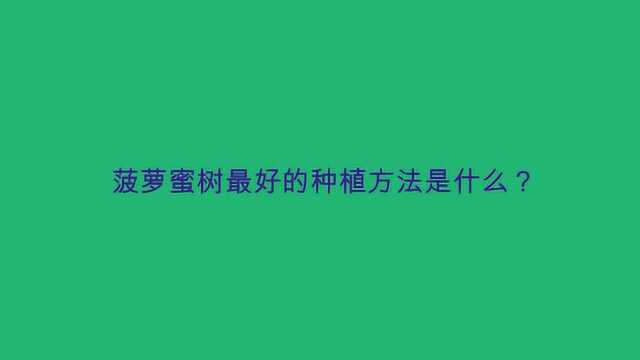 菠萝蜜树最好的种植方法是什么?