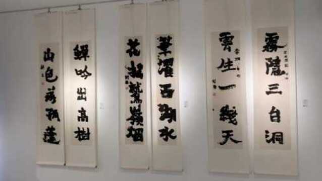 [梦见老齐] 齐剑南书画艺术周年纪念展(北京 朗禾空间)