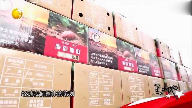 瓦房店:举办地瓜节铺就品牌路,解锁新的营销方式