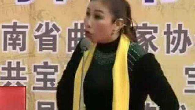 河南坠子:【海公案】, 张晓霞演唱