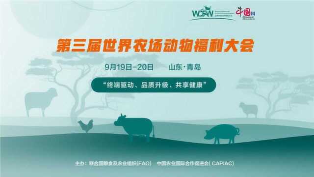 农场动物福利在中国:共享新成果 共创新未来