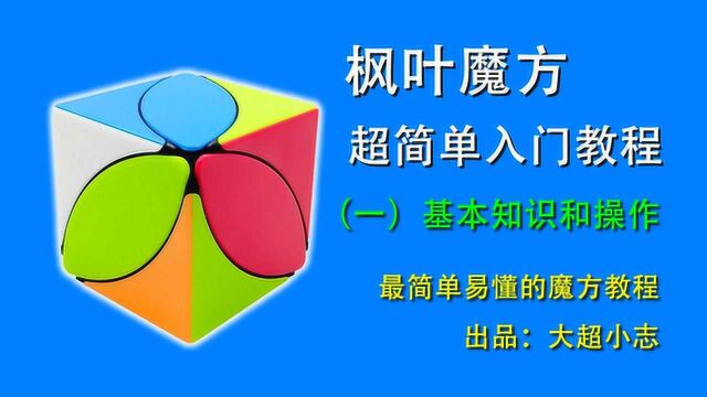 枫叶魔方超简单复原入门教程1:基本知识和操作