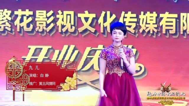 红高粱经典名曲《九儿》演唱:白静