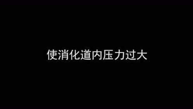 听专家解读关于鼠疫那些事