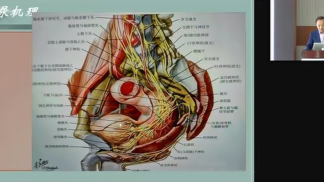 杨卫新|神经源性膀胱的肉毒毒素注射