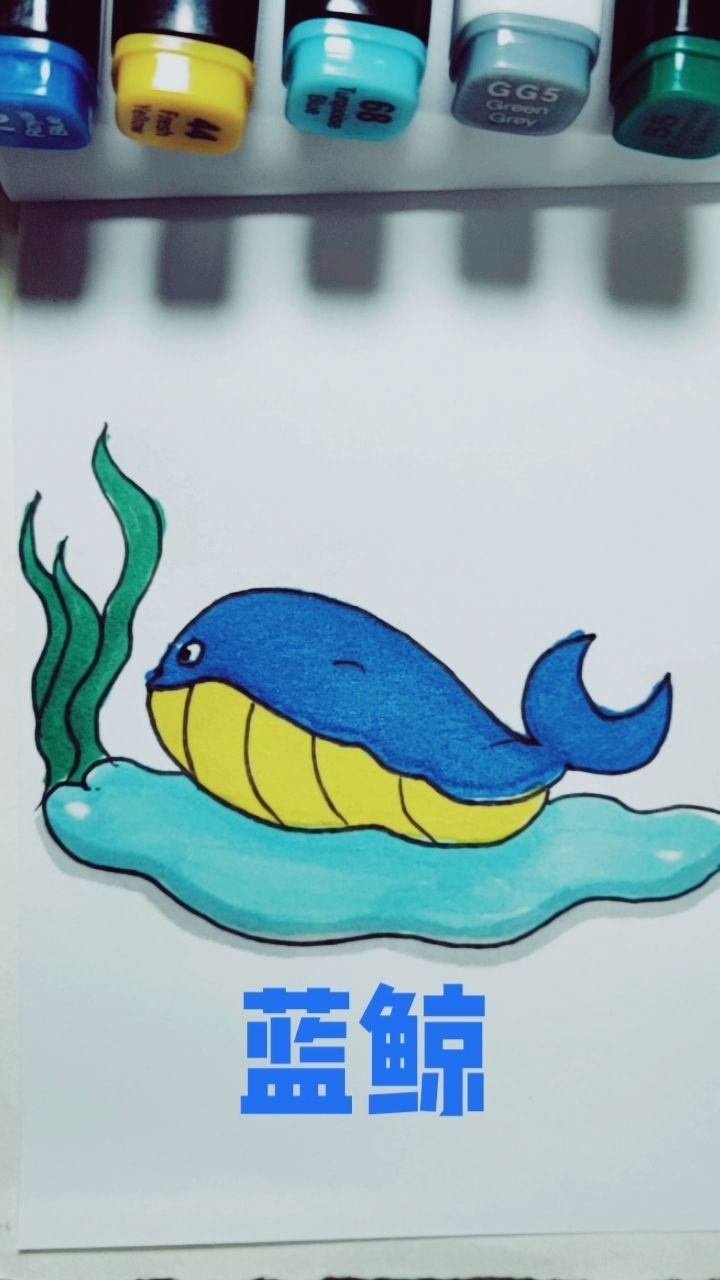 蓝鲸简笔画法