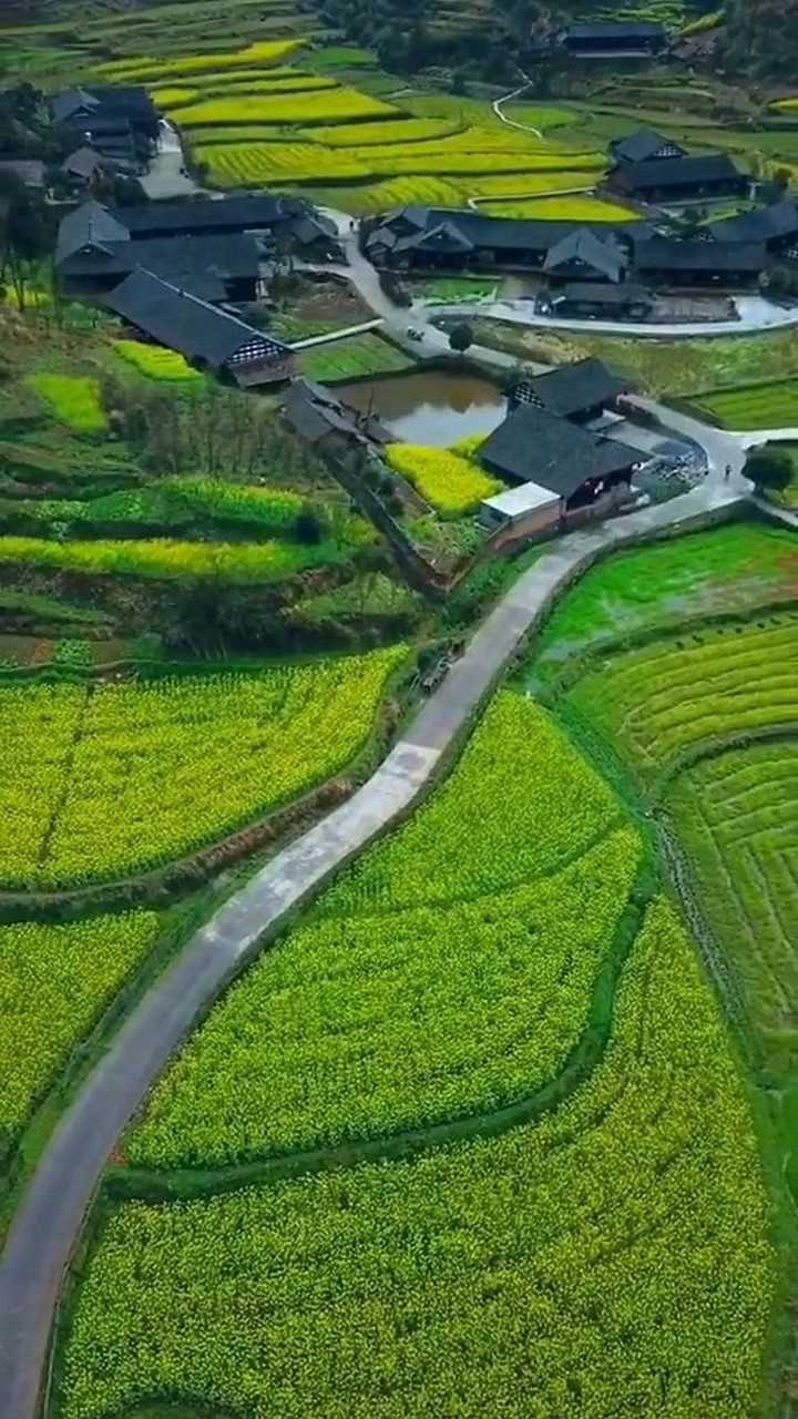 世外桃源般的生活