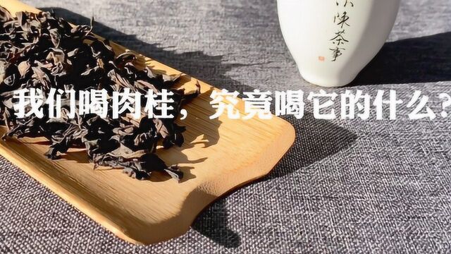 肉桂凭什么能超越大红袍,成为武夷岩茶的王者?背后藏着三个理由