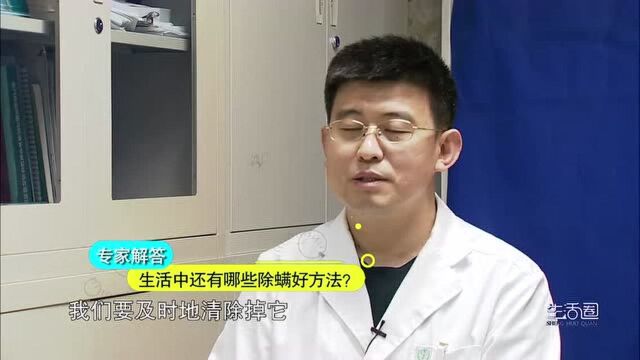 拿走不谢家用除螨仪应该如何挑选?