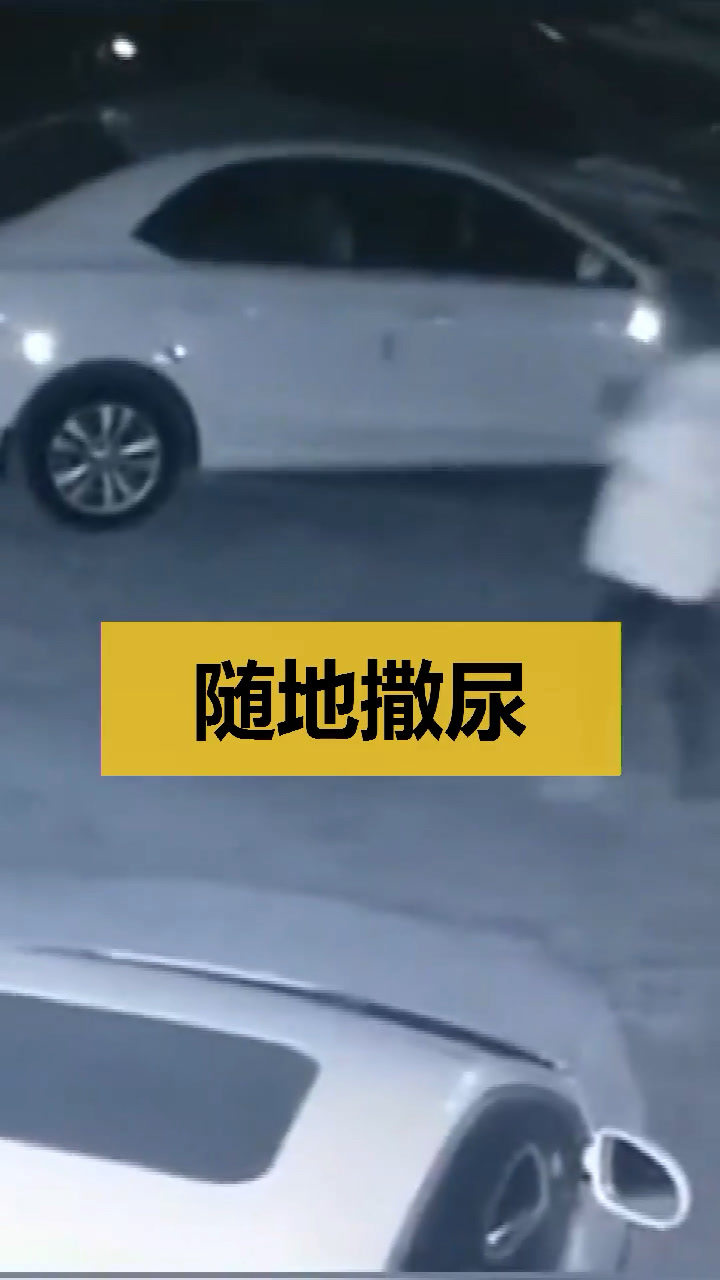 女子在马路上随地大小便，监控无意捕捉这惊人一幕，见识了_腾讯视频