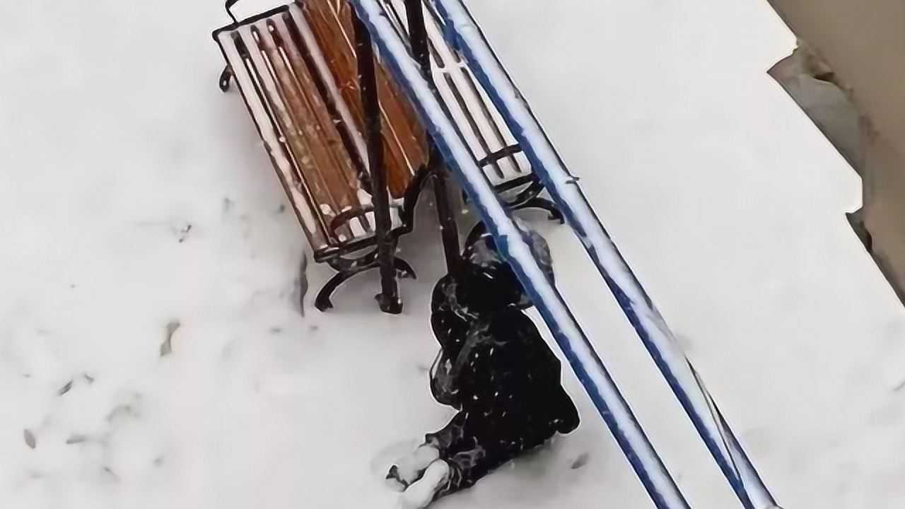 长春女孩雪地长跪3小时吓得邻居赶紧报警罚跪原因令人唏嘘