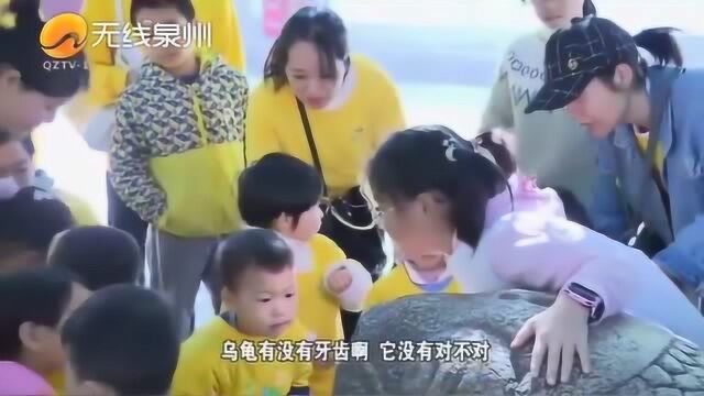 泉州:小小古城讲解员带领孩子们了解古城文化