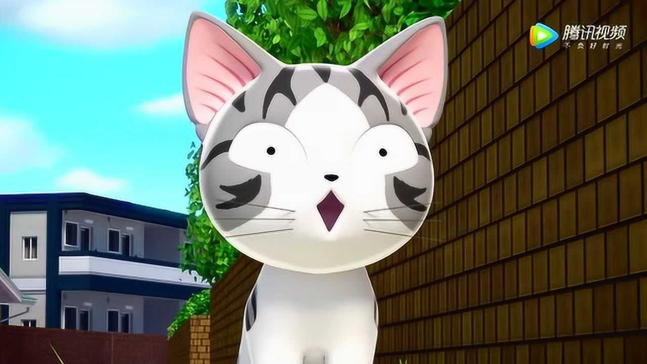 甜甜私房猫小奇今天遇到危险了