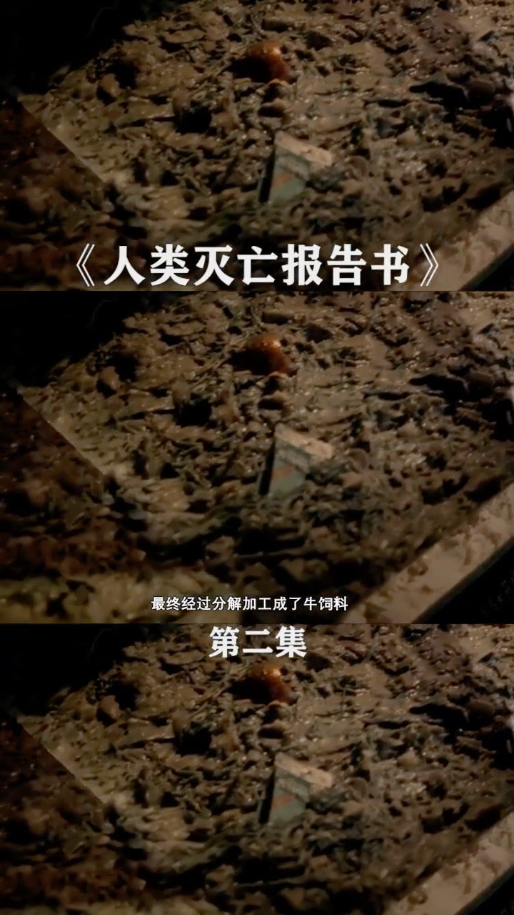 《人类灭亡报告书》2