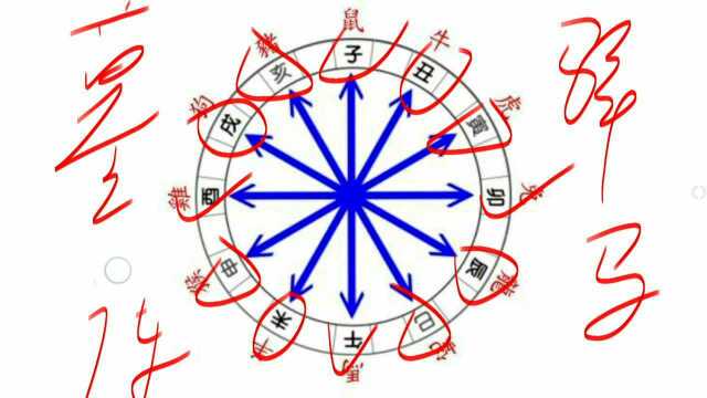 地支相冲在命局中代表了什么 八字算命基础知识10 云扬国学