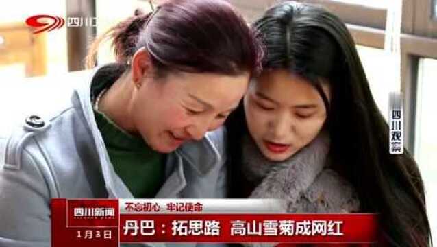 丹巴一女子拓思路 直播卖高山雪菊成网红!