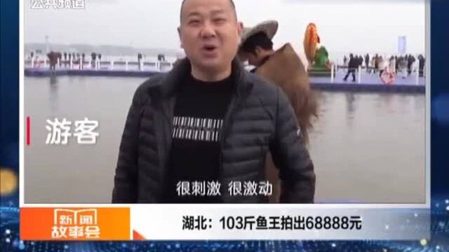 湖北:103斤鱼王拍出68888元,名字叫“福”,图一个好彩头!