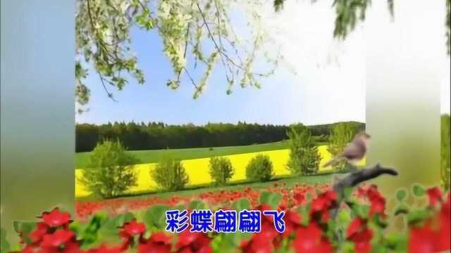 《遥想梁祝》演唱陈惠英歌声优美动听使人陶醉.