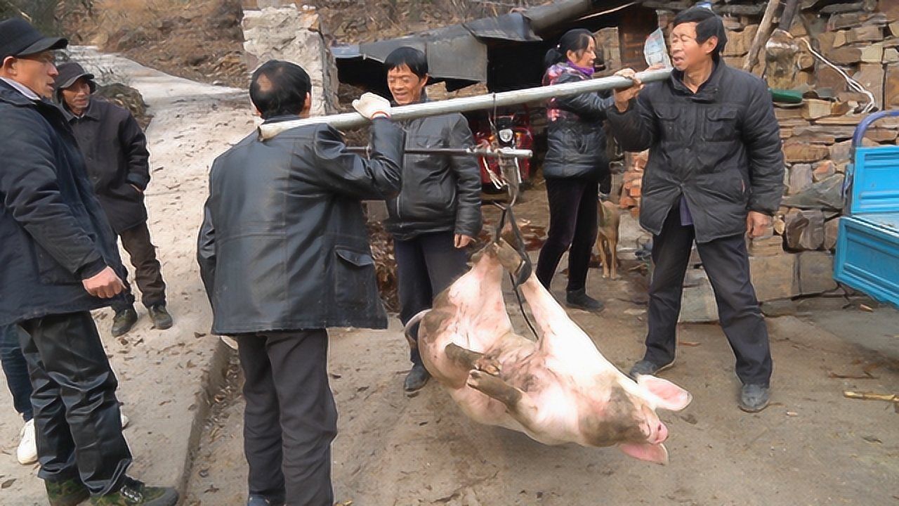 看看农村买一头猪要多少钱?今天一起来看看吧?