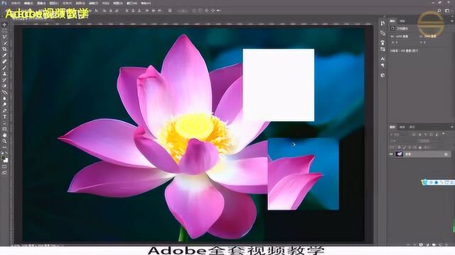 Adobe全套教程PScc2017第十八节:选取羽化的讲解