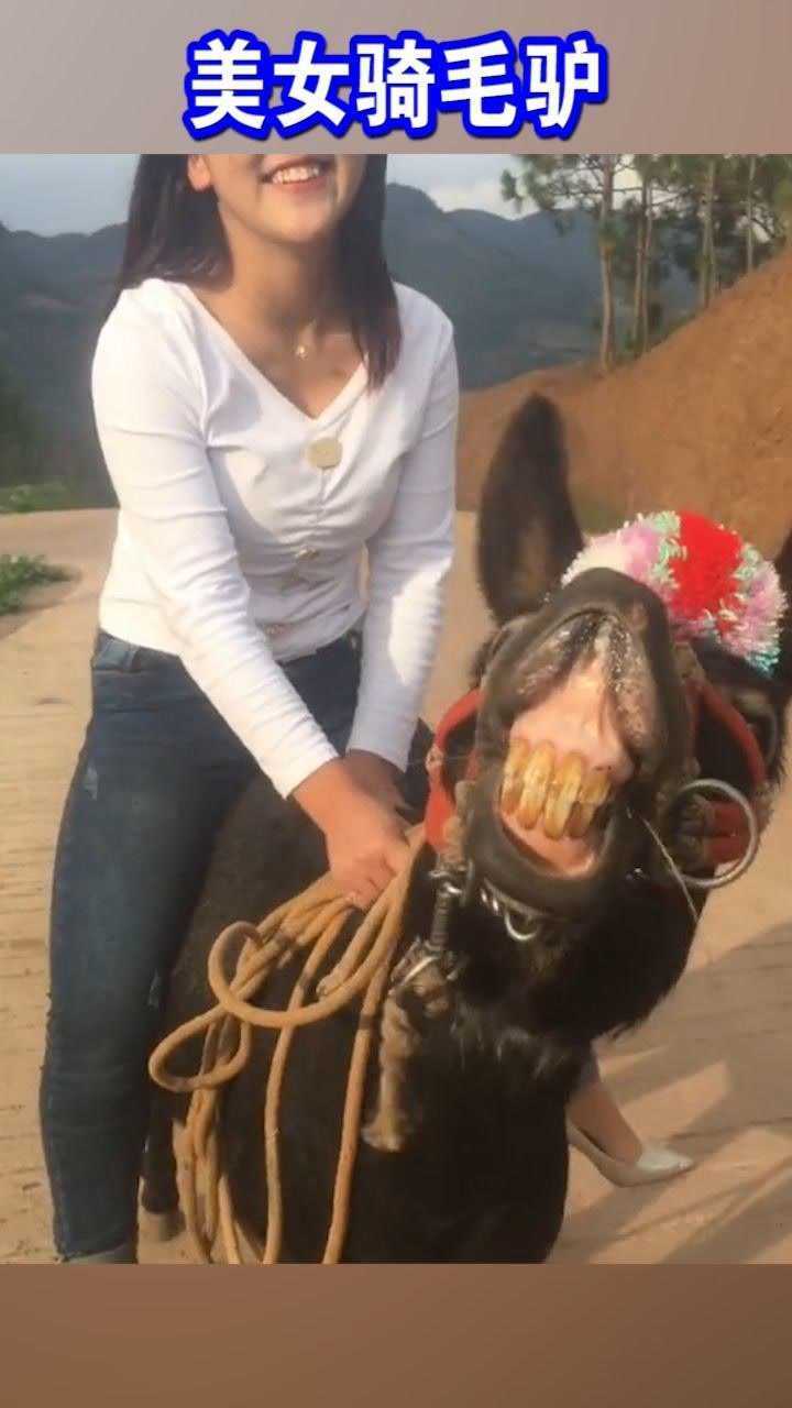 美女骑毛驴,毛驴高兴坏了,呲一口大牙