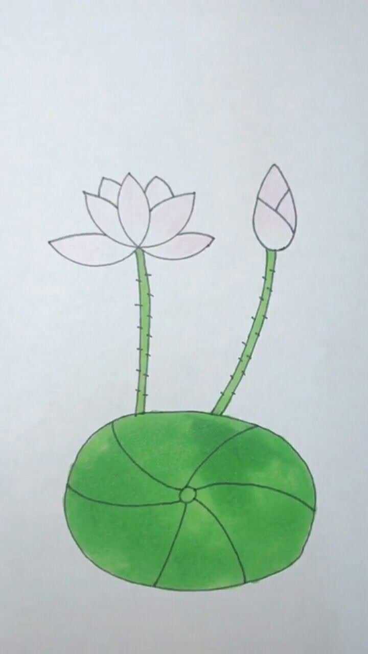 画个简单的荷叶