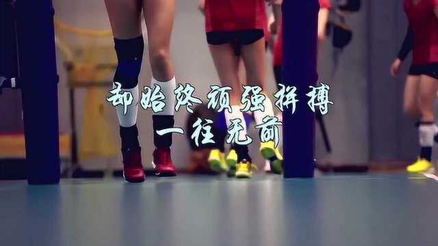 从漳州出发,女排的这些精彩瞬间你知道多少?