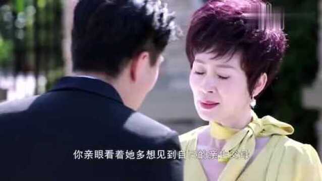 谜底彻底被揭开,白富美却怪哥哥道貌岸然,怕是石乐志了