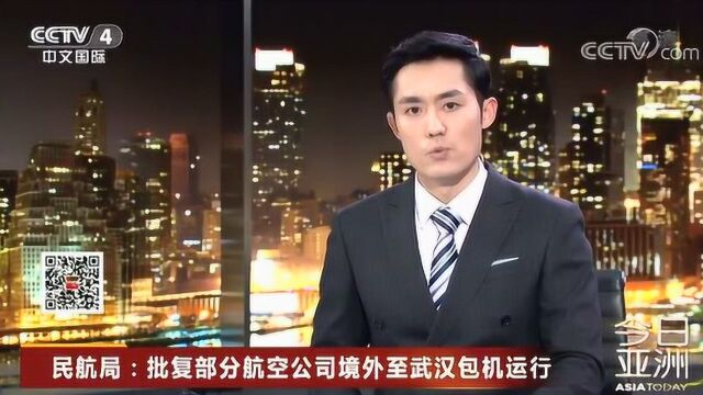 民航局:批复部分航空公司境外至武汉包机运行